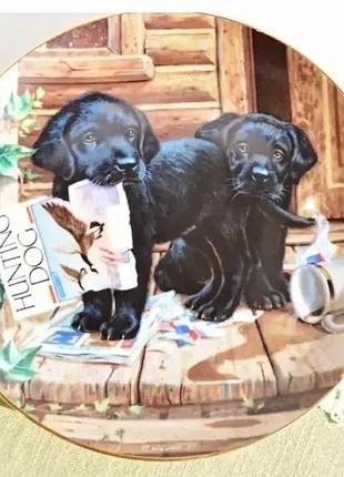 Шикарная тарелка из коллекции "puppy playtime" от джима лэмба.