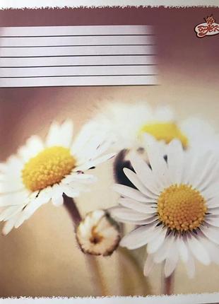 Тетрадь школьная 12 листов в линию цветы тм бриск тв-107 ромашка