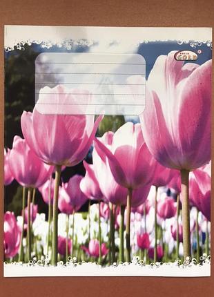 Тетрадь школьная 12 листов в косую линию тм бриск тв-47