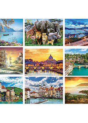 Классический на пазл 1000 элементов (10 серия) danko toys (10 шт в упаковке)