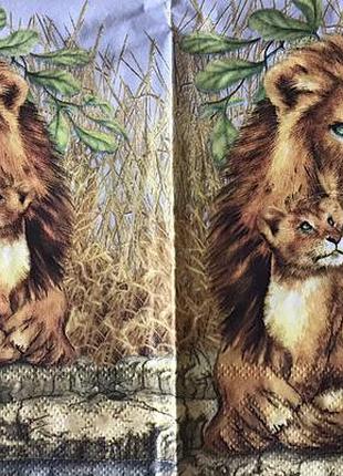 Салфетка декупажная .семья львов. 33*33 см . 3 слоя, тм maki