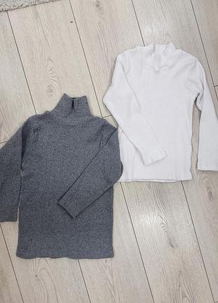 Водолазка сіра та біла