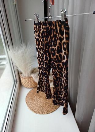 Лосины клеш