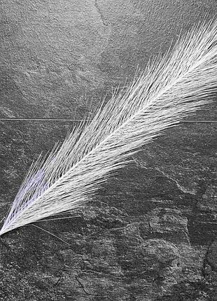 Пампасная трава 1 шт белая ветка