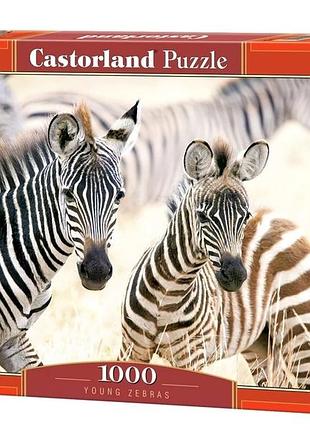 Пазли castorland 1000 елементів "молоді зебри" c-105021