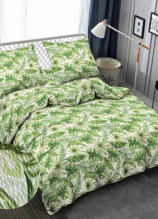 Постельное белье жатка папоротник двуспальный евро