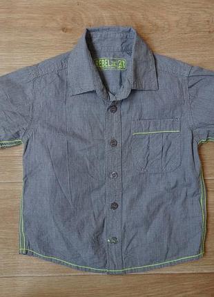 Снизила цену стильная рубашка на мальчика 2- 3 года