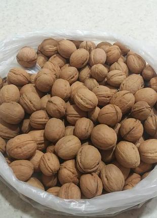 Маленькі волоські горіхи для декору