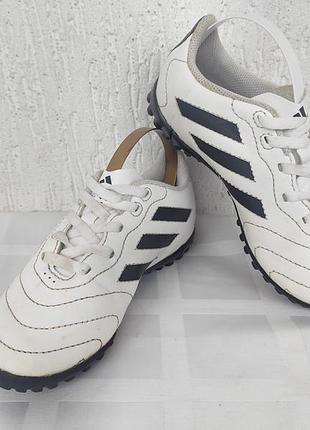 Футзалки, бутсы, сороконожки adidas goletto р.28
