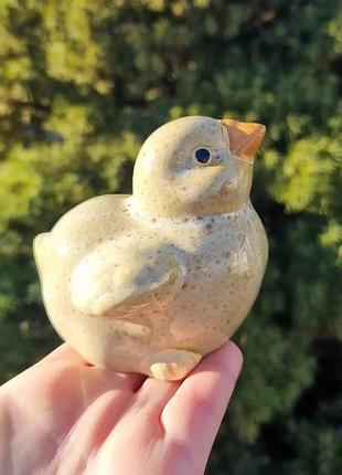 Милая птичка, птинец, цыпленок. германия.