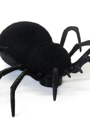 Паук на пульте управления black widow z2113