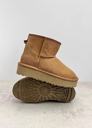 Уцінка уггі ugg classic ultra mini platform chestnut