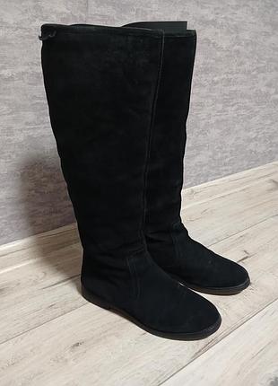 Зимние женские замшевые сапоги,бренду carlo pazolini, размер 38.