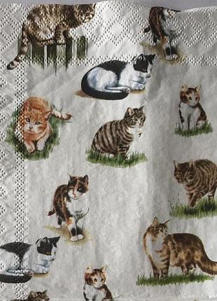 Серветка декупажна .киці . 3шари,33*33см тм катрін