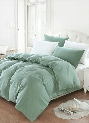 Набір підковдра 240х215см +наволочки 70х70 2шт бязь ярослав №9 сукулент