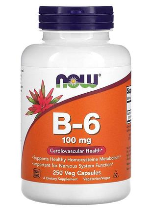 Вітамін в6, vitamin b-6, now foods, 100 мг, 250 вегетаріанських капсул