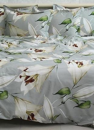 Сімейний комплект постільної білизни 100% бавовна (туреччина) з двома підковдрими з компаньйоном pt-015