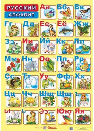 Плакат шкільний підручники і посібники російська абетка друковані літери (ф.а2)