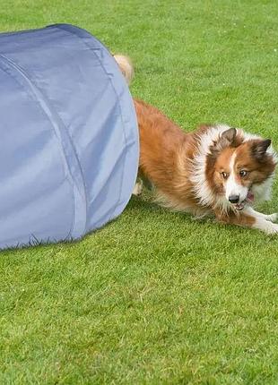 Складний ігровий тунель для собак relaxdays — 200 × 40 см, для тренувань та розваг