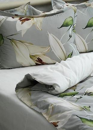 Люксовый евро комплект сатинового постельного белья 100% хлопок (турция) с компаньоном (евро) pt-015