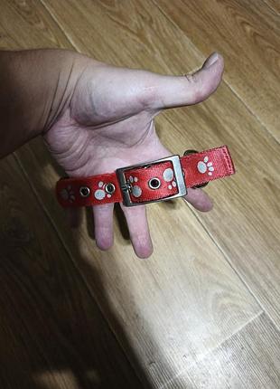 Ремешок ошейник для большой собаки