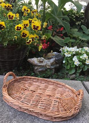 Піднос "денце"