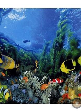 Фото-шпалеры на бумажной основе artdecor подводное царство 201х242 см