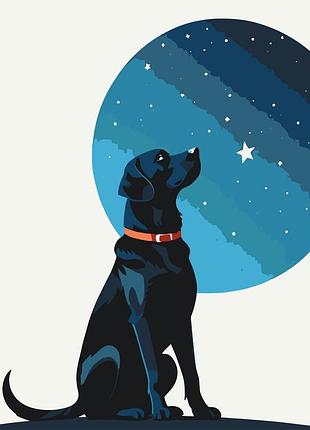 Картина по номерам "звездный пес" 11714-ac 30х40 см