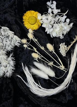 Сухоцветы натуральные разные для предметной съемки или рукоделия: декор, эпоксидка, картины, свечи білий подих №7