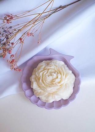 Соєва свічка півонія з ефірними аромамаслами на гіпсовій підставці мушля sensual veiver