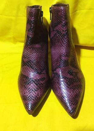 Женские кожаные ботильоны andre