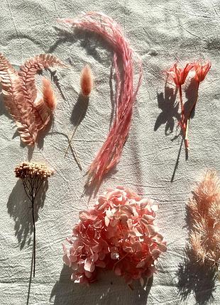 Сухоцветы натуральные разные для предметной съемки или рукоделия: декор, эпоксидка, картины, свечи рожева мрія №11