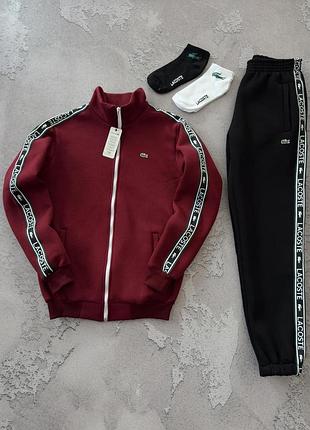 Зима костюм lacoste бордово/чорний