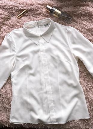 Біла блуза бренду essay