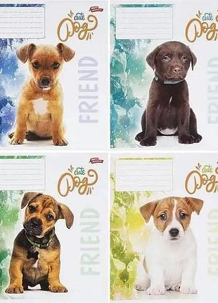 Зошити на 18 аркушів,широка лінія,10 шт в наборі