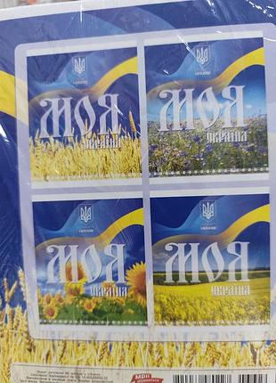 Зошити на 96 аркушів,4 шт в наборі, клітинка