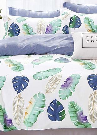 Постельное белье ранфорс 19026 viluta