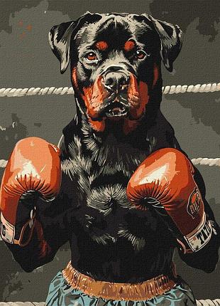 Картина по номерам "боксер ротвейлер"