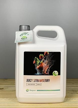Рідке мило bergreen juicy strawberry - 5 л.