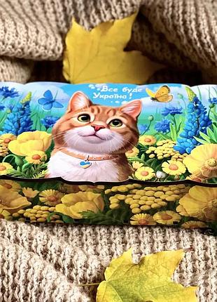 Скринька "рудій котик"