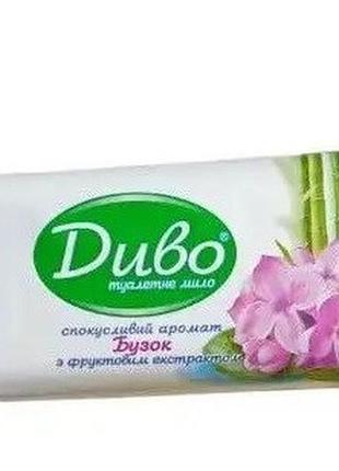 Мыло туалетное "диво" с ароматом сирени и фруктовым экстрактом 100 г (4820241540075)
