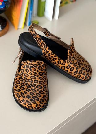 Продам женские туфли (клоги)леопардовый принт