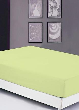 Простынь на резинке 160х200+20см хлопок 100% ранфорс luminary green