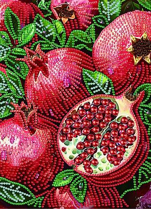 Алмазна мозаїка соковиті гранати 25 х 25 brushme bh024