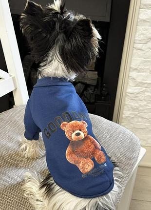 Кофта свитшот для собак good day с мишкой синий (122)