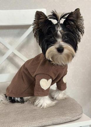 Кофта для собак с сердцем коричневый (128)