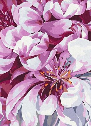 Цвет в макро съемке