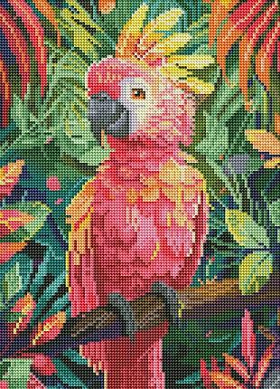 Розовый попугай