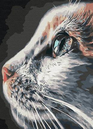 Котопрофиль