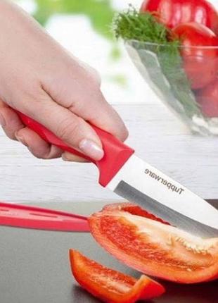 Новий ніж «гурман» з чохлом tupperware